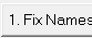 1. Fix Names button
